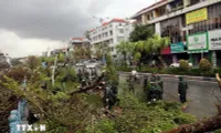 Global experts share experiences in disaster insurance