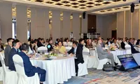 Workshop shares experience in improving asset recovery capacity