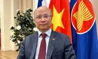 Vietnam-France ties reach new height in 2024: Ambassador