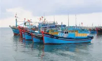 Binh Thuan steps up efforts to tackle IUU fishing