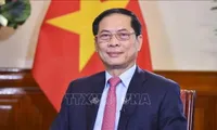 Diplomatic achievements in 2024 set stage for Vietnam's new era: Deputy PM