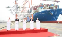 Tan Cang - Cai Mep Thi Vai Port welcomes one-millionth TEU