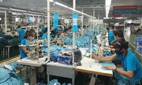 Textile and garment exports steadily fulfil set targets