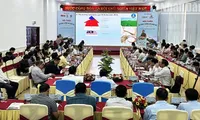 Seminar discusses solutions to build national rice brand
