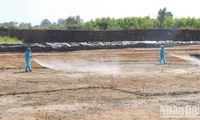 Funding for dioxin remediation at Bien Hoa Airport raised to 430 million USD