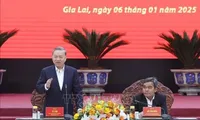 Gia Lai needs to remove obstacles for stronger development: Party chief