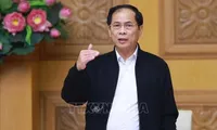Deputy PM urges proactive review, implementation of int'l cooperation agreements