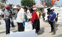 Nearly 900 tonnes of rice allocated to disadvantaged people in Dak Lak