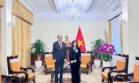 Vietnam, Armenia hold huge potential to boost collaboration: official