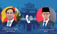Vietnam, Indonesia seek deeper collaboration