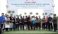 Tree planting festival unites communities for conservation