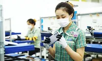 FDI shows strong growth in 2025