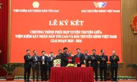 Vietnam Television and the Supreme People's Procuracy Collaborate on Propaganda for the 2025-2026 Period