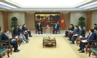 Vietnam treasures comprehensive partnership with Hungary: PM