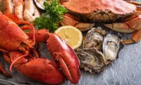 Vietnamese market opens to British live seafood products