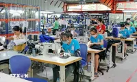 Vietnam possesses various favourable factors to develop dynamic economy