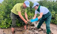 Planting one million trees for a green Vietnam