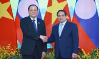 Vietnamese, Lao PMs meet on sidelines of P4G Summit