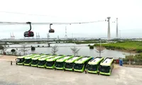 Cat Ba greens public transport to develop tourism