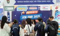 Job opportunities for social science students in the face of Artificial Intelligence and digital transformation