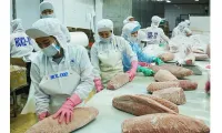Adapting agricultural exports to new scenario