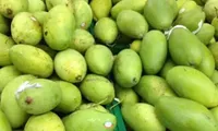 Trade drives growth momentum for Vietnam's economy in seven months