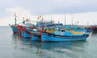 Ben Tre cracks down on illegal fishing to lift EC’s yellow card warning