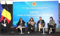EVFTA helps strengthen strategic trust between Vietnam, EU: Brussels seminar