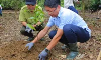 Hundreds of trees planted in Cuc Phuong National Park as part of Forestival