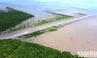 Spreading green living in communities