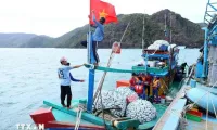 Tien Giang steps up efforts to combat IUU fishing