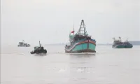 Ben Tre steps up efforts to fight IUU fishing