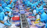 Vietnam taps Halal market to boost agricultural exports
