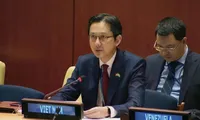 Viet Nam reaffirms commitment to protecting children in armed conflicts