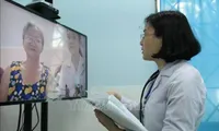Viet Nam, RoK strengthen cooperation in telemedicine