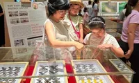 Da Nang exhibition features rare insects endemic to Vietnam