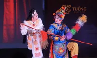 Youth-led project revitalises the art of ‘tuong’ for the public