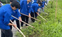 Young people volunteer in building new-styled rural areas