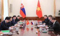 Vietnam, Slovakia hold political consultation