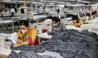 Vietnam records highest industrial production growth in five years