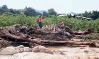 PM requests focused efforts to overcome aftermath of flash floods, landslides in Son La