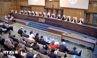 Viet Nam contributes to international court's advisory opinion on climate change