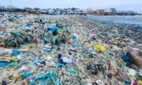 Hanoi takes bold steps towards plastic-free future