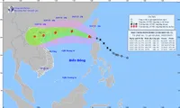 Northern provinces, coastal regions from Quang Ninh to Dak Lak urged to brace for Storm Wipha
