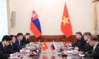 Viet Nam, Slovakia hold political consultation