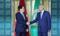 Vietnam expects more substantive, effective ties with Arab League: President