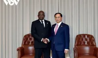 Vietnam, Angola seek stronger, more practical cooperation