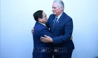 Vietnamese PM meets with top Cuban leader on BRICS summit sidelines