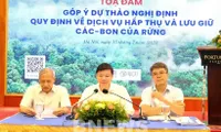 Vietnam completes legal framework for forest carbon market