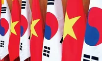 Viet Nam and RoK continue to accompany each other in new era